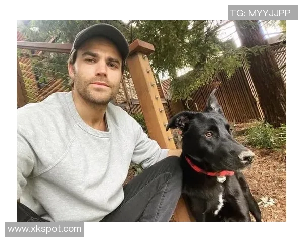 韦斯利因伤退出巴西队保罗亨里克紧急递补入选